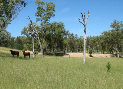 Natone Lodge Property